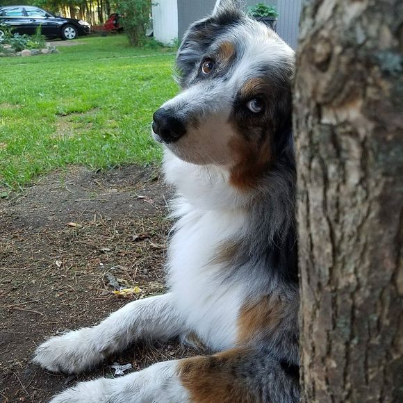 Meet your Posher, Kara - Picture 1 of 1